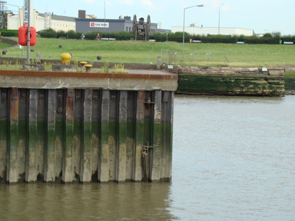 Riverweserimrentuzun8